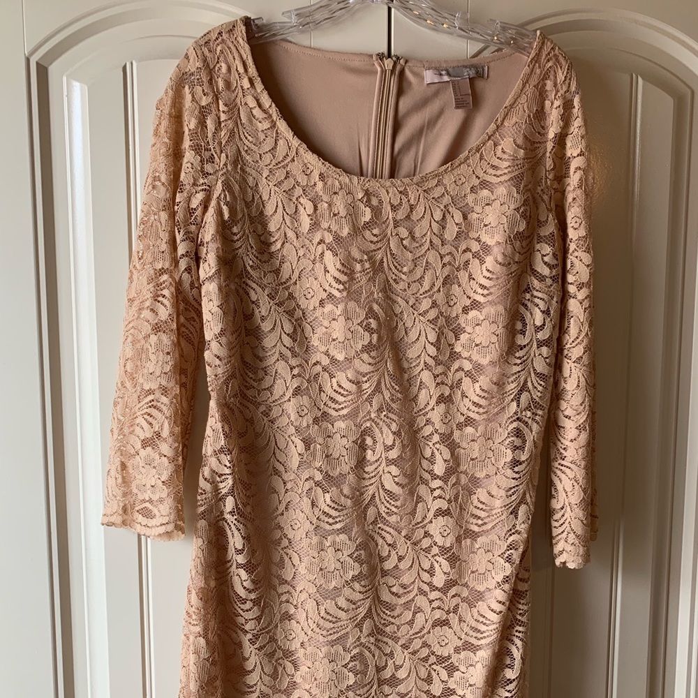 Beautiful Nude Lace Long Sleeve Mini Dress.
